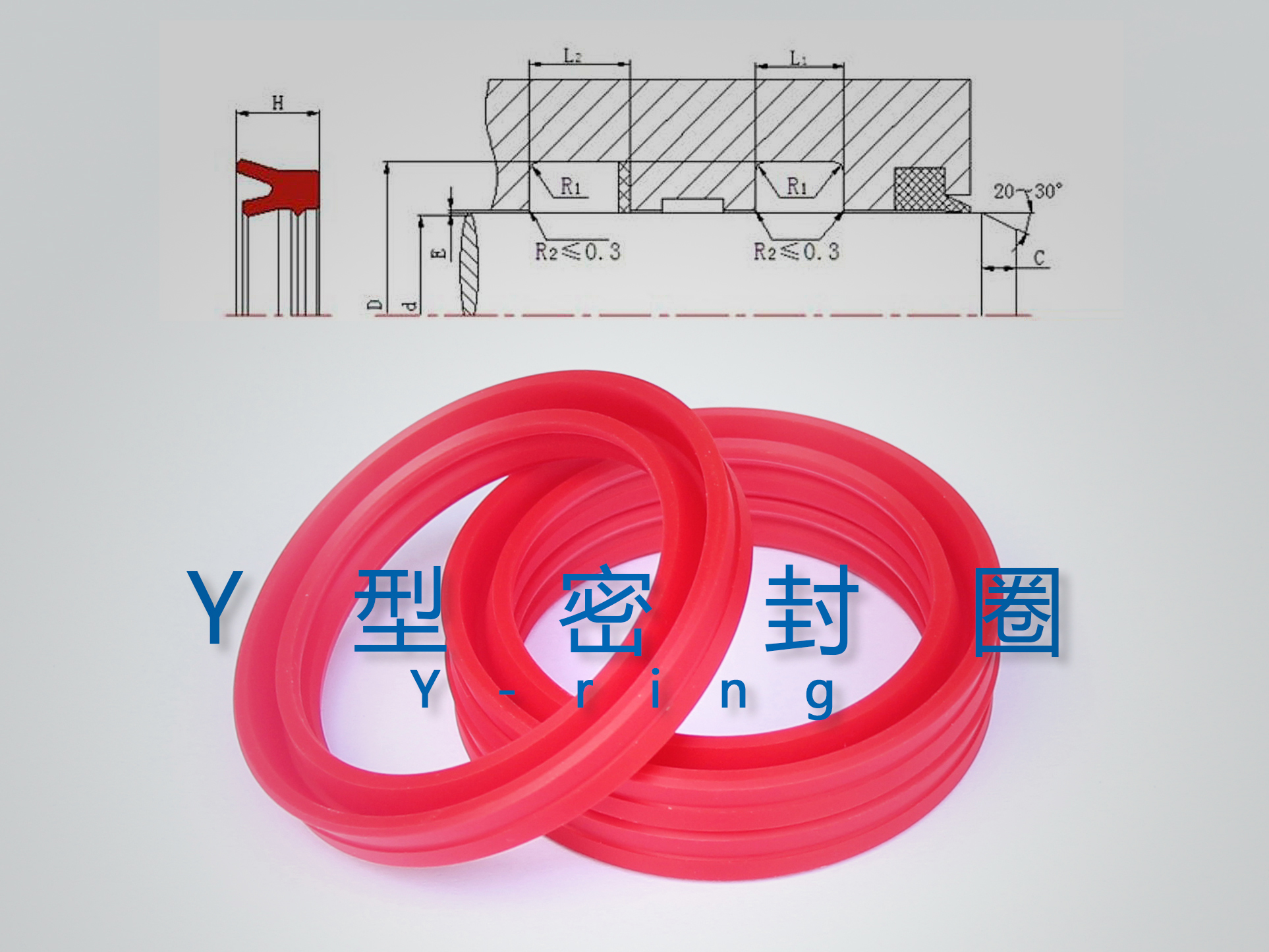 Y型密封圈（密封件、油封）與截面結(jié)構(gòu)產(chǎn)品圖